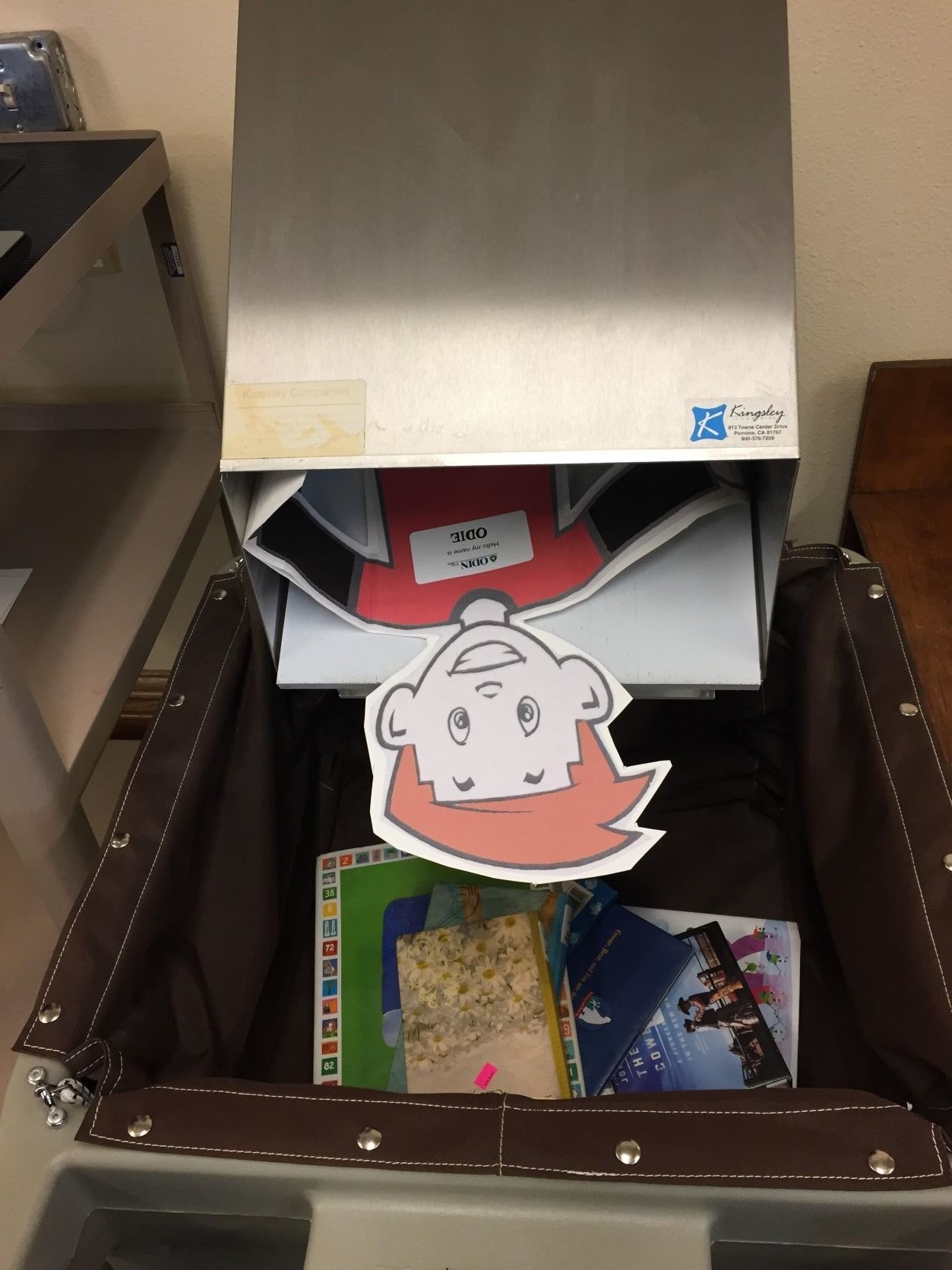 Flat Odie is in the bookdrop
