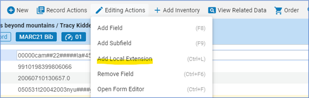 add local extension