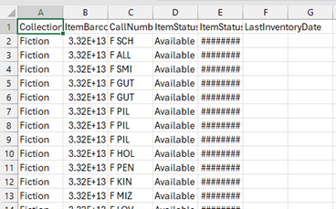 Excel spreadsheet