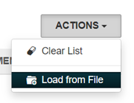 Load from file