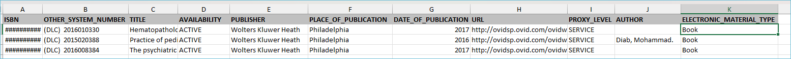 Excel spreadsheet for the portfolio loader