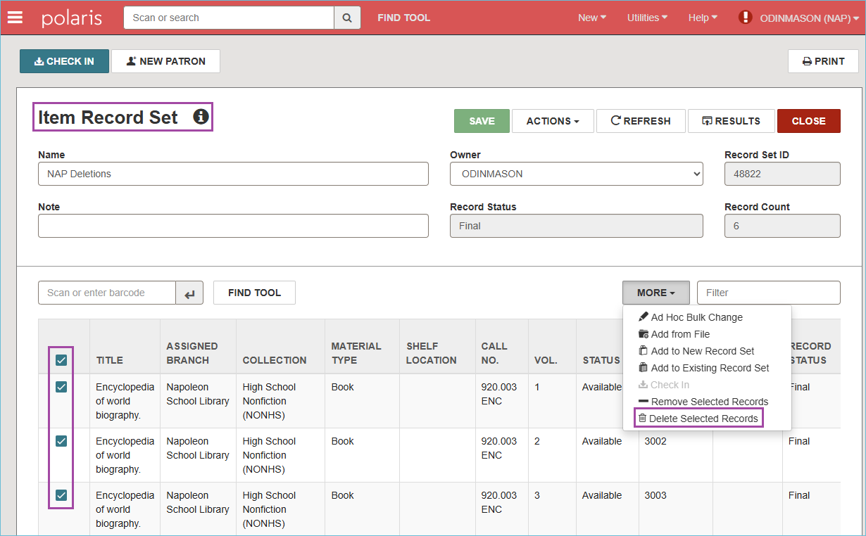 Image of record set showing selected item records and option to delete selected records.