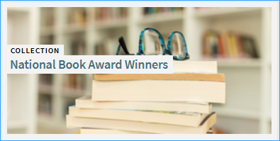 An image of the National Book Award Winners collection tile from Primo VE
