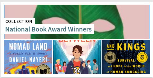 An image of the discovery collection tile with a composite of four book titles.